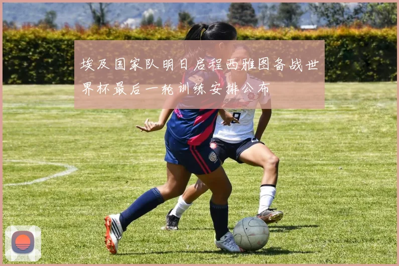 埃及国家队明日启程西雅图备战世界杯最后一轮训练安排公布